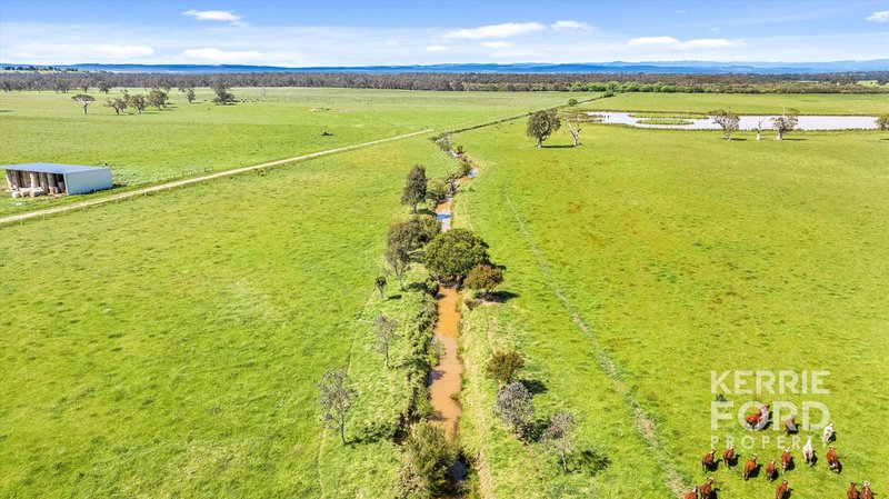 Photo - 223 Lower Cairnbrook Road, Glengarry VIC 3854 - Image 27