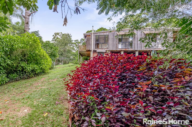 Photo - 223 Sankeys Road, Cooran QLD 4569 - Image 21