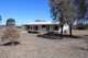 Photo - 223 Tarrawingee Road, Mumbil NSW 2820 - Image 5