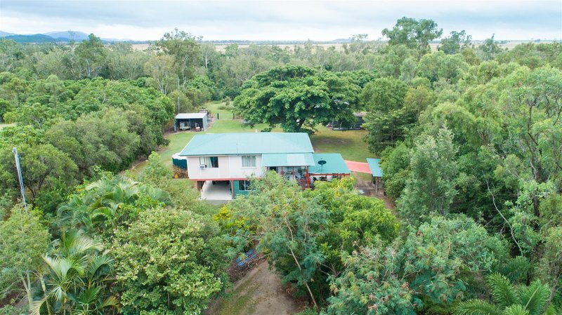 Photo - 2230 Crystalbrook Road, Crystal Brook QLD 4800 - Image 5