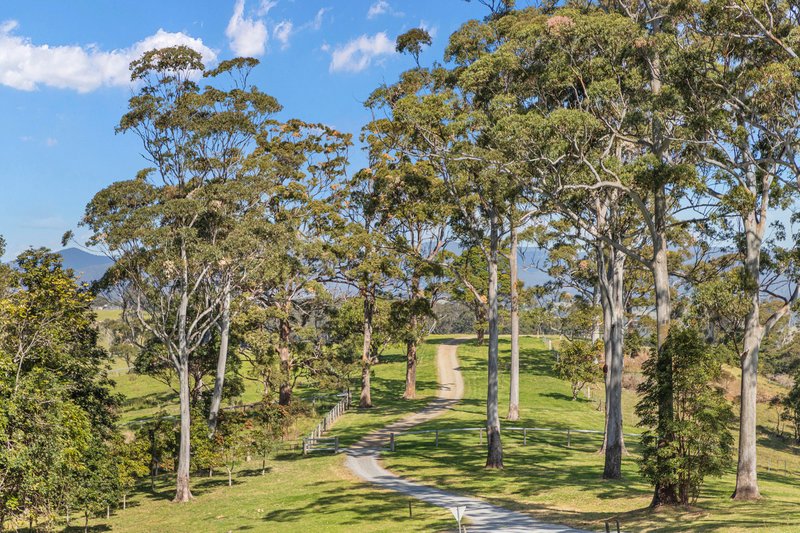 Photo - 2237 Beechmont Road, Beechmont QLD 4211 - Image 5
