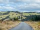Photo - 224 Blomfield Road, Yarrowitch NSW 2354 - Image 3