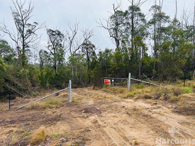 Photo - 224 Blomfield Road, Yarrowitch NSW 2354 - Image 4