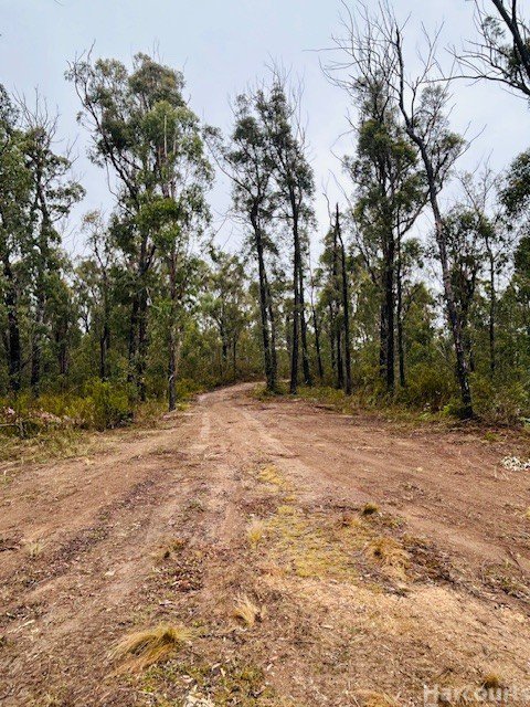 Photo - 224 Blomfield Road, Yarrowitch NSW 2354 - Image 6