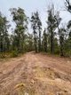 Photo - 224 Blomfield Road, Yarrowitch NSW 2354 - Image 6