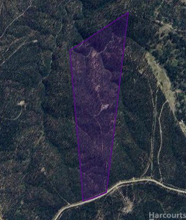 Photo - 224 Blomfield Road, Yarrowitch NSW 2354 - Image 8