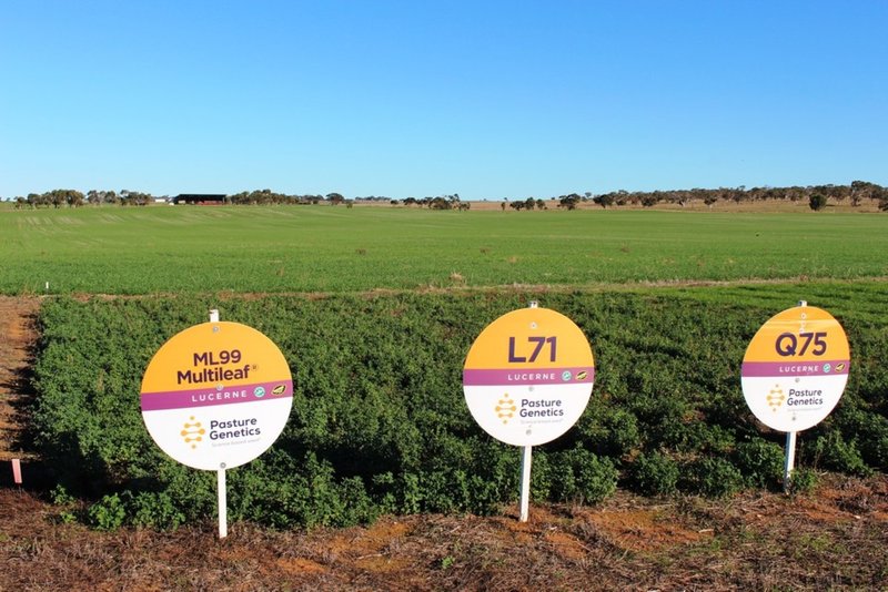 224 Burnlea Road, Langhorne Creek SA 5255 Real Estate Industry Partners