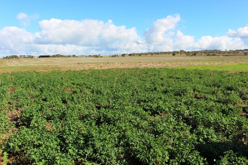 224 Burnlea Road, Langhorne Creek SA 5255 Real Estate Industry Partners