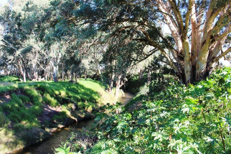 224 Burnlea Road, Langhorne Creek SA 5255 Real Estate Industry Partners