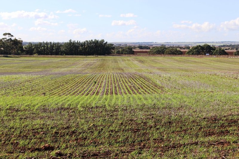 224 Burnlea Road, Langhorne Creek SA 5255 Real Estate Industry Partners