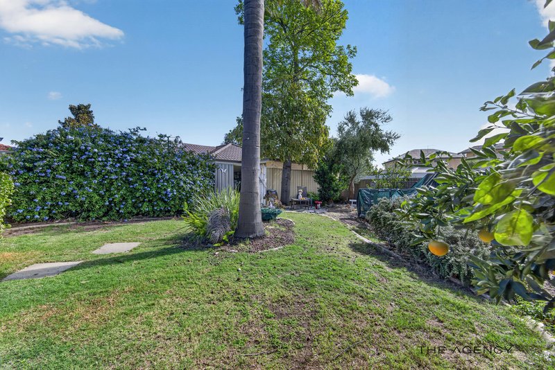 Photo - 224 High Road, Riverton WA 6148 - Image 20