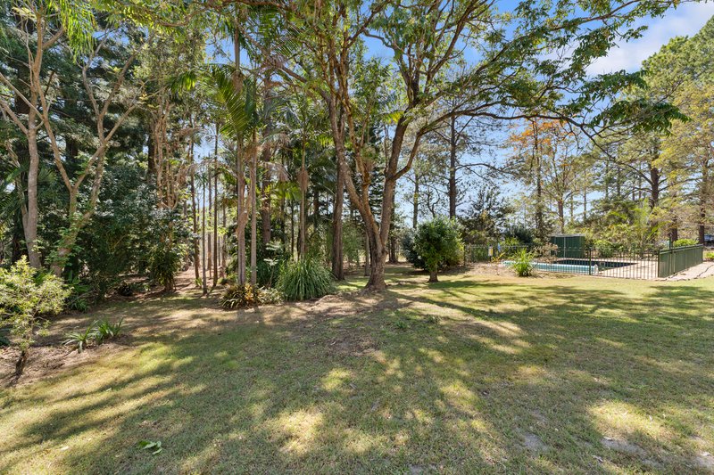 Photo - 2241 Armidale Road, Blaxlands Creek NSW 2460 - Image 19