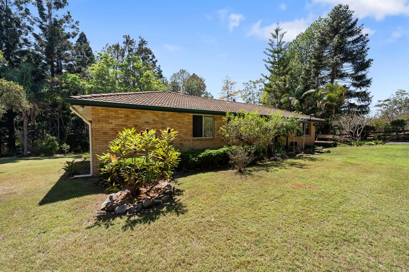 Photo - 2241 Armidale Road, Blaxlands Creek NSW 2460 - Image 26