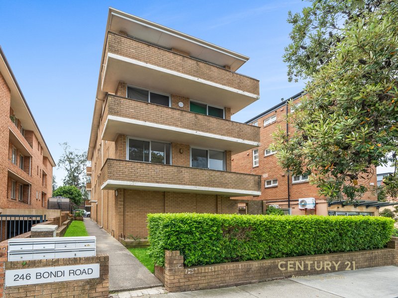 Photo - 2/246 Bondi Road, Bondi NSW 2026 - Image 8