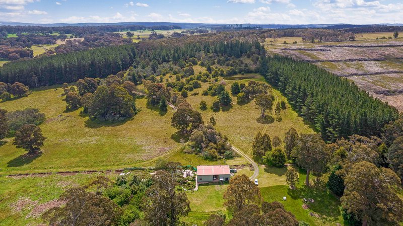 225 Bastard Point Road, Gingkin NSW 2787