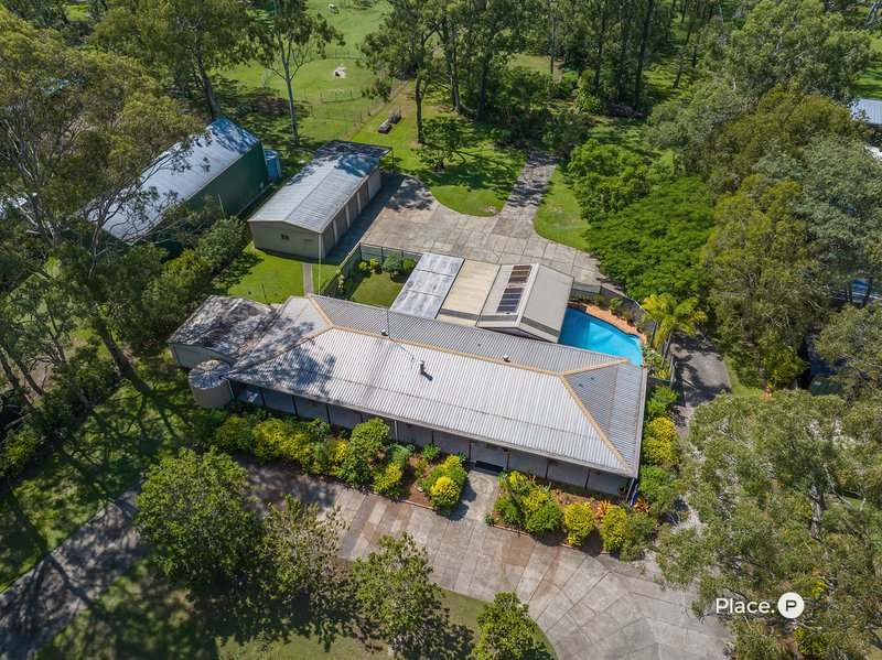 Photo - 225 Chelsea Road, Ransome QLD 4154 - Image 3