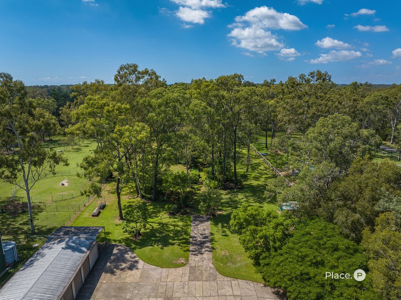 Photo - 225 Chelsea Road, Ransome QLD 4154 - Image 23