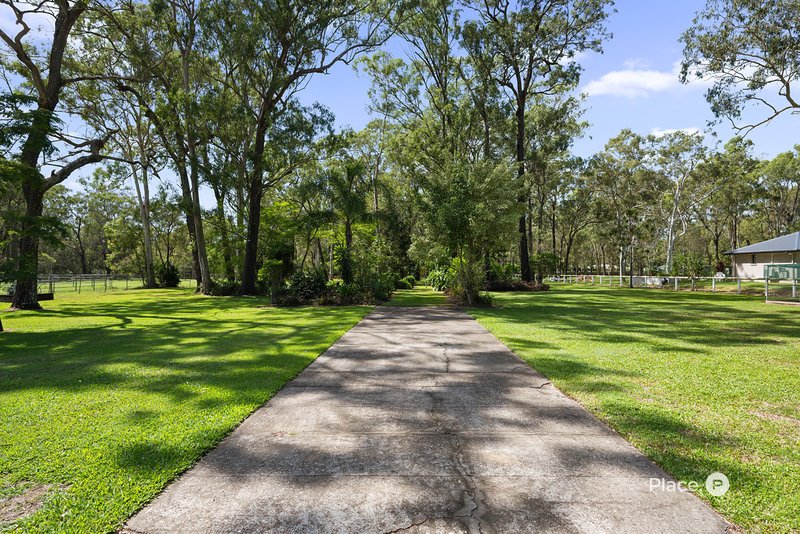 Photo - 225 Chelsea Road, Ransome QLD 4154 - Image 24