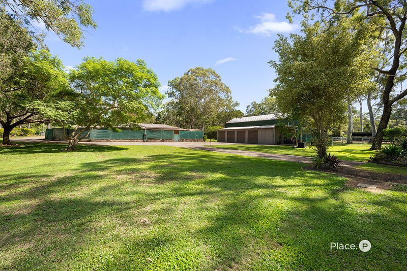Photo - 225 Chelsea Road, Ransome QLD 4154 - Image 25