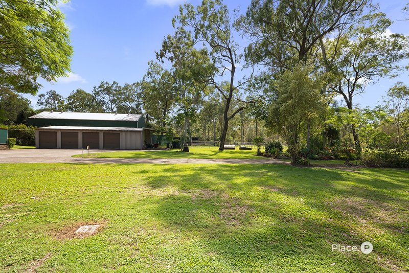 Photo - 225 Chelsea Road, Ransome QLD 4154 - Image 26