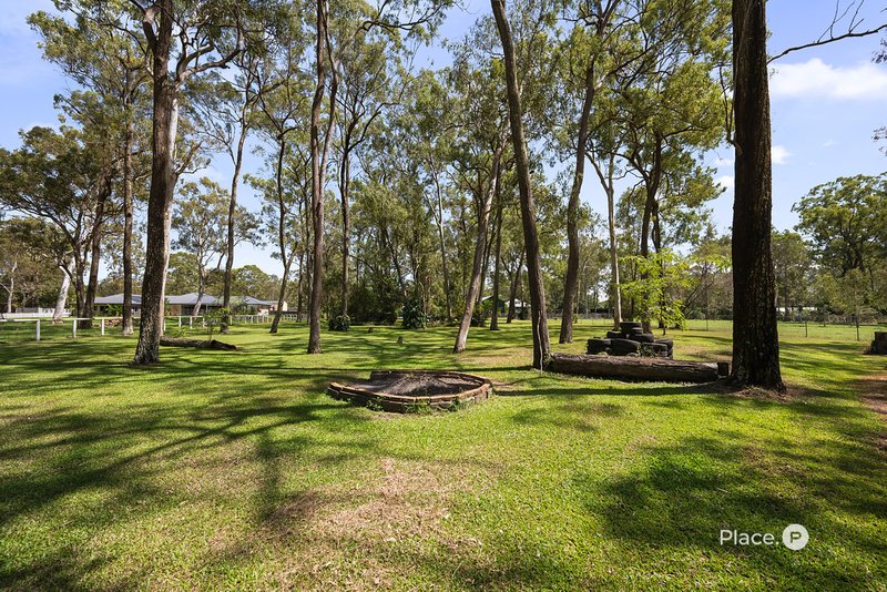 Photo - 225 Chelsea Road, Ransome QLD 4154 - Image 27