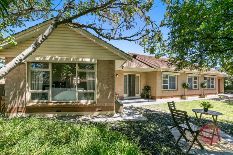 225 Diagonal Road, Warradale SA 5046