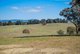 Photo - 225 Emu Swamp Road, Orange NSW 2800 - Image 15