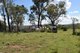 Photo - 225 Wild Deer Drive, Taromeo QLD 4314 - Image 3