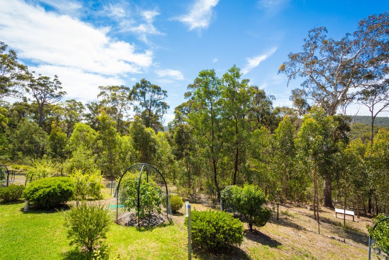 2250 Princes Highway, Yellow Pinch NSW 2548 | Real Estate Industry Partners