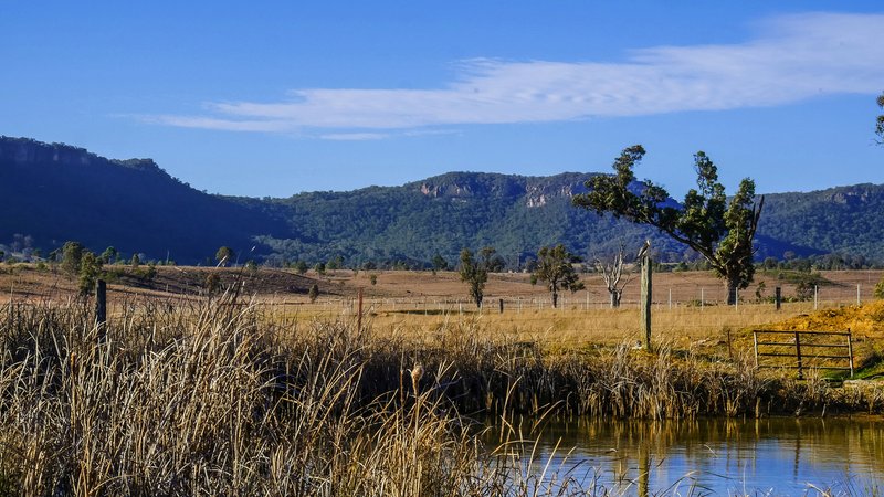 Photo - 2251 Glen Alice Rd , Mount Marsden NSW 2849 - Image 6