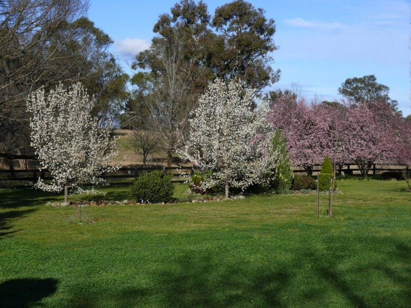 Photo - 2251 Glen Alice Rd , Mount Marsden NSW 2849 - Image 23