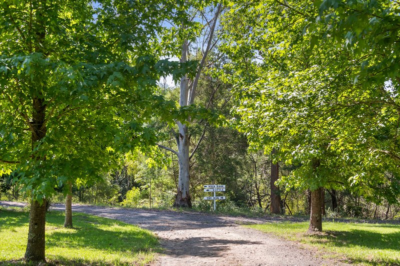 Photo - 2255 Moss Vale Rd Road, Kangaroo Valley NSW 2577 - Image 3
