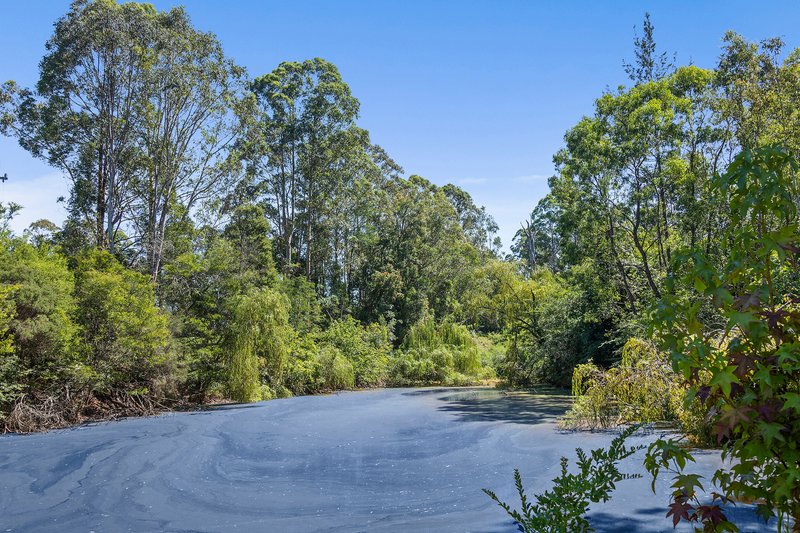 Photo - 2255 Moss Vale Rd Road, Kangaroo Valley NSW 2577 - Image 17