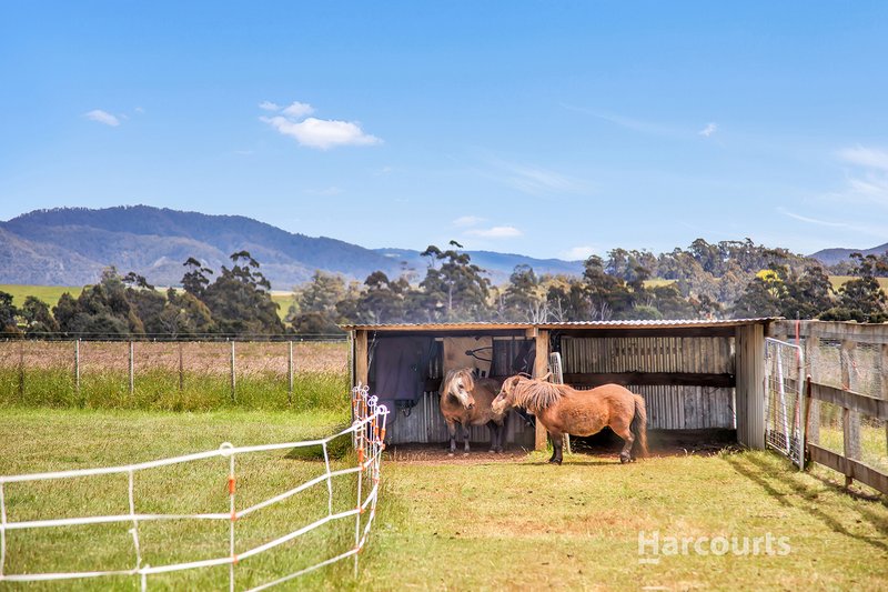 Photo - 226 Nook Road, Sheffield TAS 7306 - Image 24