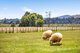 Photo - 226 Nook Road, Sheffield TAS 7306 - Image 25