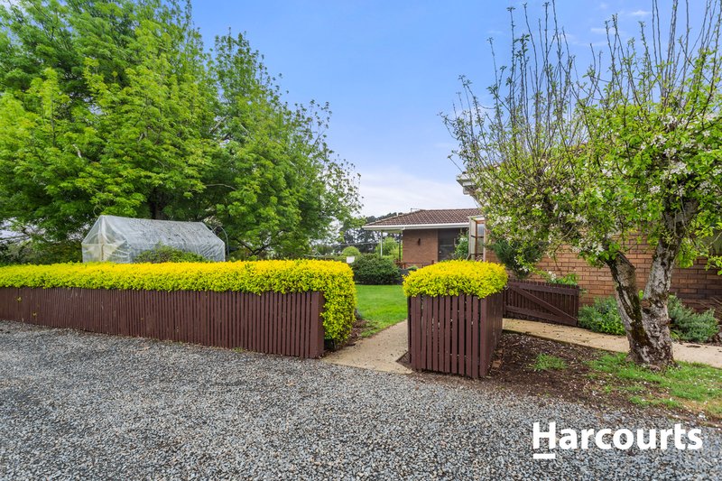 Photo - 226 Ritchie Street, Westbury TAS 7303 - Image 5