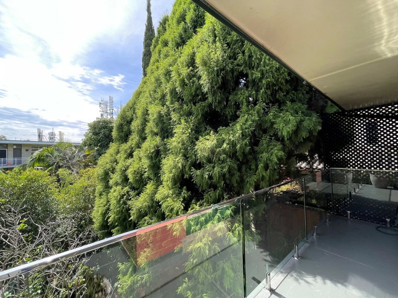 Photo - 2/263 Edgecliff Road, Woollahra NSW 2025 - Image 6