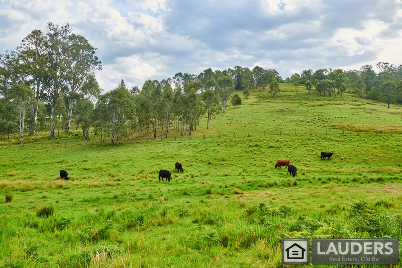 Photo - 2264 Bundook Road, Bundook NSW 2422 - Image 31