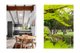 Photo - 2/27 Augusta Place, Mollymook Beach NSW 2539 - Image 21
