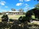 Photo - 227 Bendygleet Road, Moree NSW 2400 - Image 1