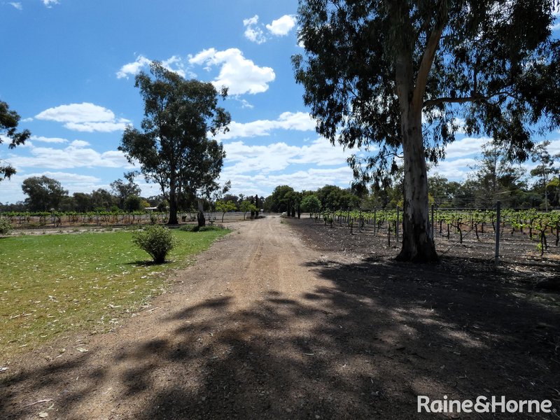 Photo - 227 Bendygleet Road, Moree NSW 2400 - Image 4