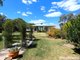 Photo - 227 Bendygleet Road, Moree NSW 2400 - Image 21