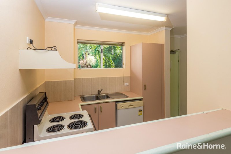 Photo - 227 Coral Coast Drive, Palm Cove QLD 4879 - Image 4