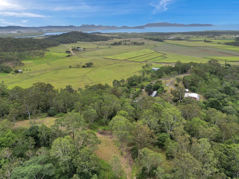 227 Olletts Road, Habana QLD 4740