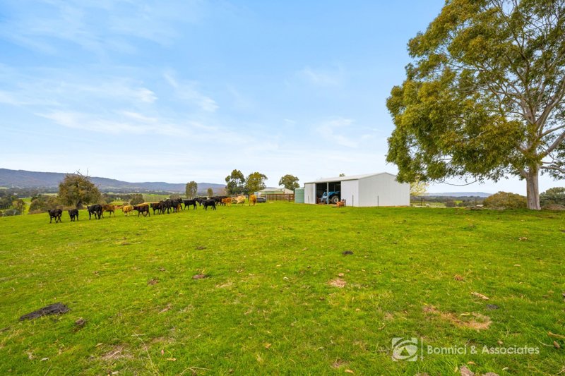 Photo - 228 Edmondson Lane, Wooragee VIC 3747 - Image 23