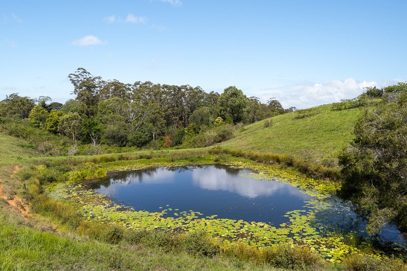 Photo - 228 Robinson Road South, Ocean View QLD 4521 - Image 11