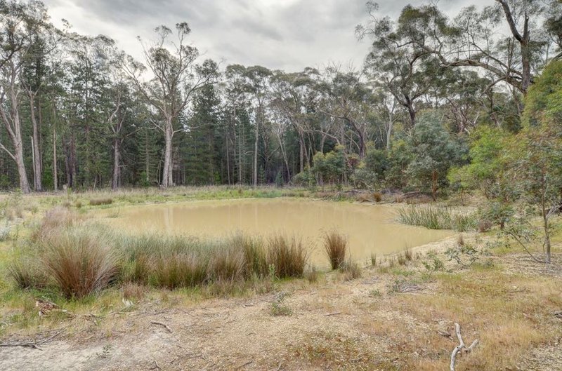 Photo - 2280 Glenelg Highway, Scarsdale VIC 3351 - Image 12