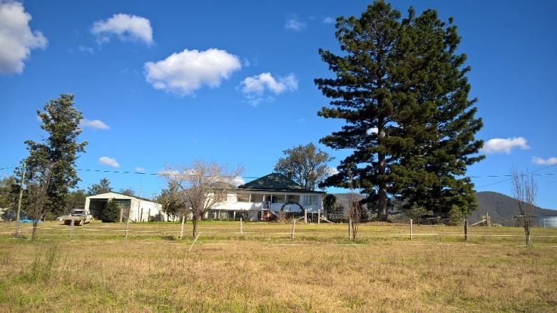 2282 Rivertree Rd , Rivertree NSW 2372