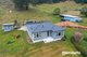 Photo - 229 Caveside Road, Mole Creek TAS 7304 - Image 20