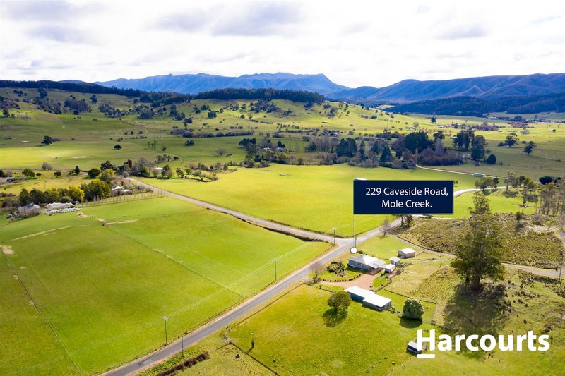 229 Caveside Road, Mole Creek TAS 7304